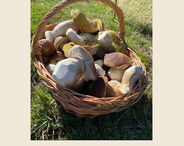 L'eterlou Authentique Partie De Corps De Ferme 10pers. Targassonne